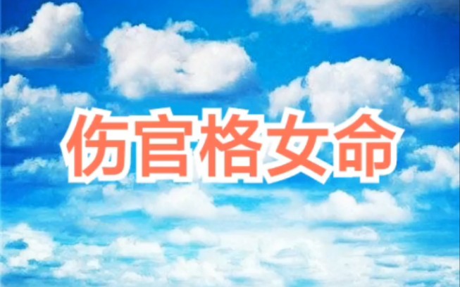 来看一个伤官格女命哔哩哔哩bilibili