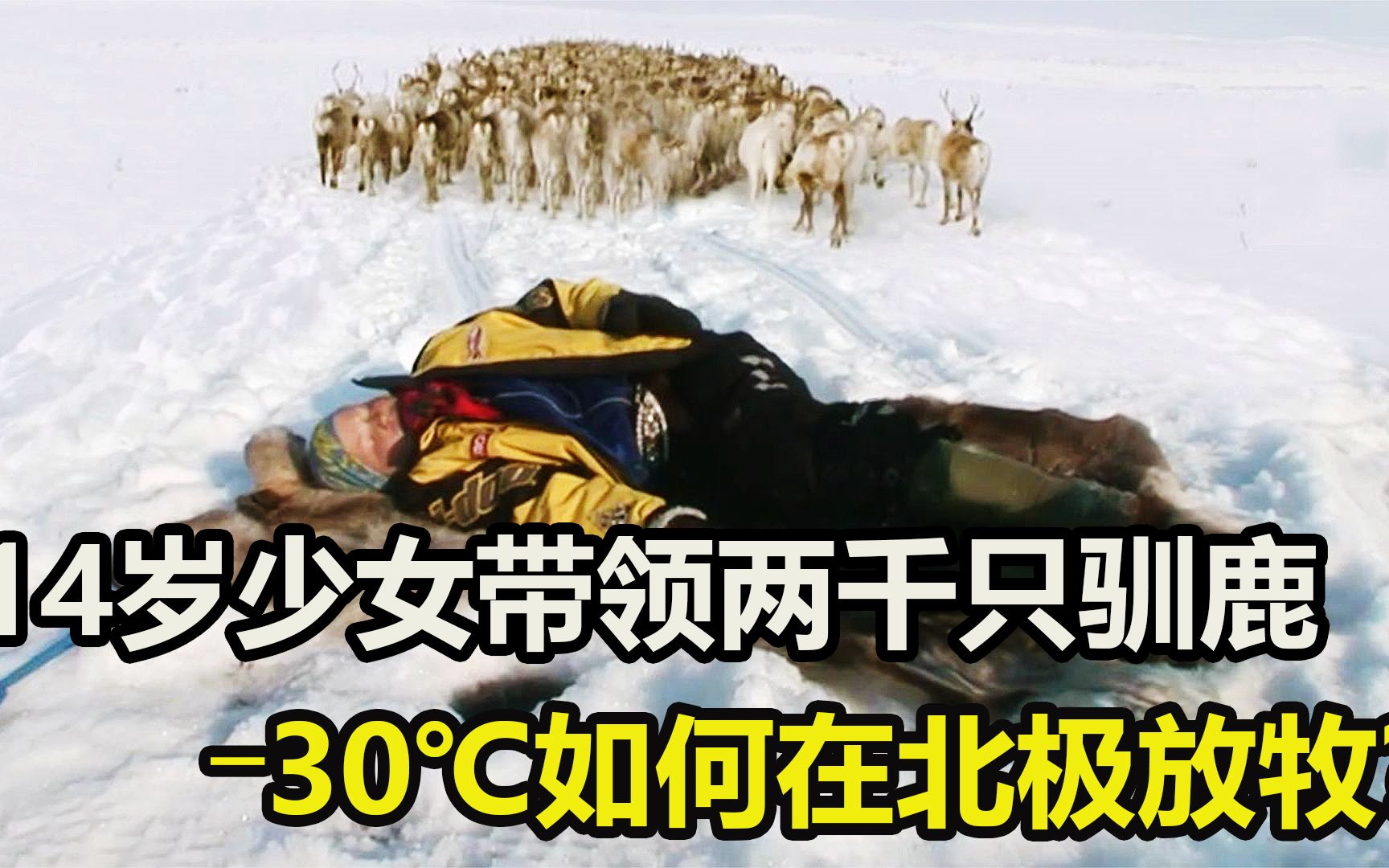 [图]零下30度怎么生活？14岁女孩喂养2000头驯鹿，累了直接睡雪地里