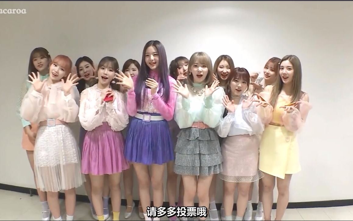 【中字】IZONE人气歌谣未公开视频 190409哔哩哔哩bilibili