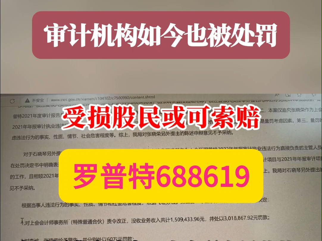 处罚迟来但不缺席,罗普特被罚之后,审计机构如今也被罚!受损股民还可索赔吗?哔哩哔哩bilibili