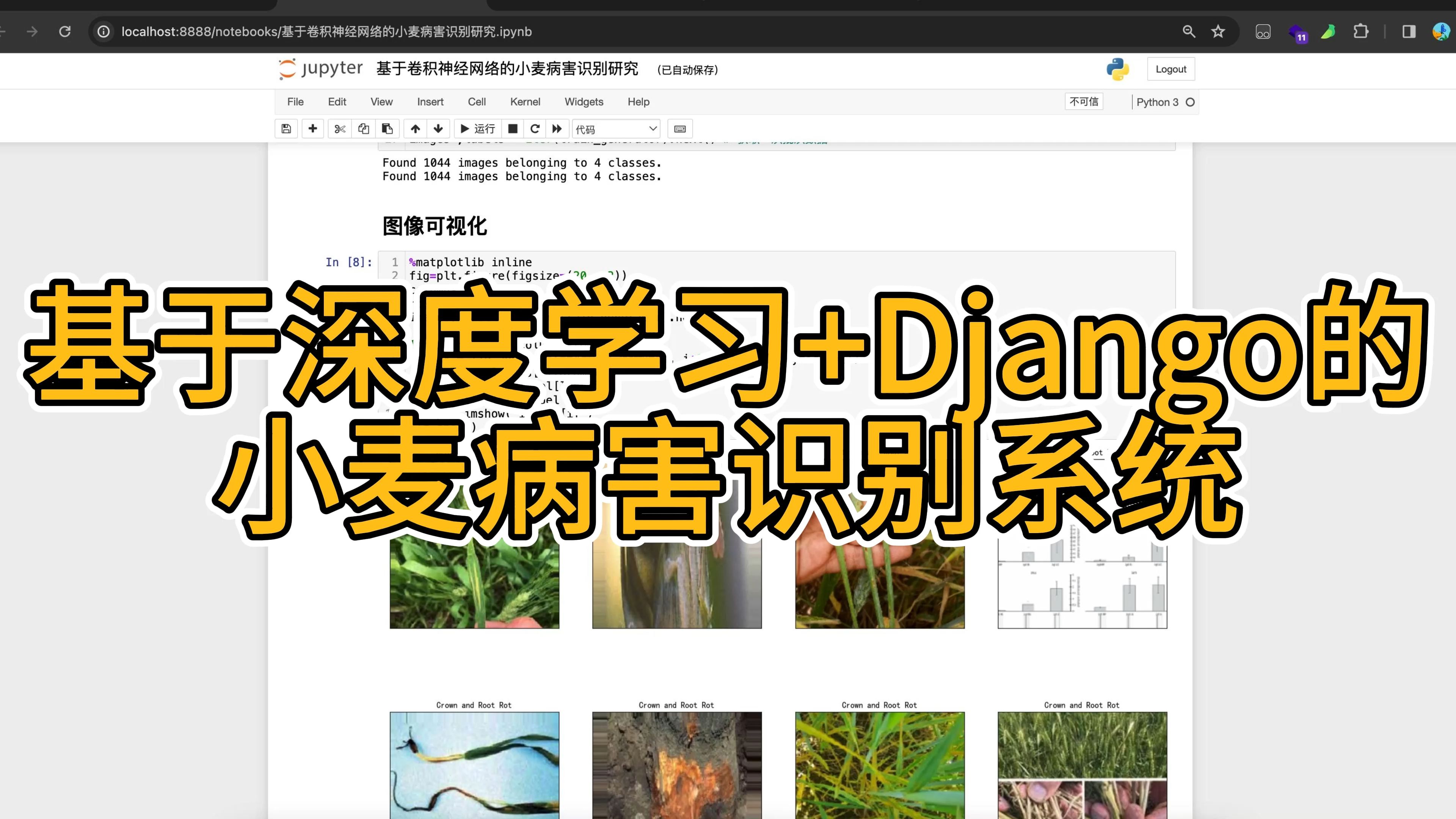 基于深度学习+Django的小麦病害识别系统【py332计算机毕业设计】哔哩哔哩bilibili