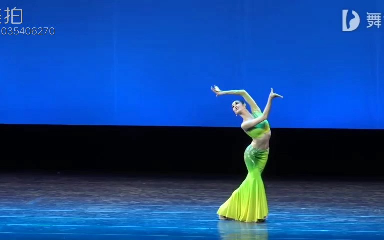 桃李杯傣族组合雨林