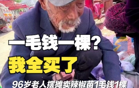 [图]96岁老人摆摊卖辣椒苗1毛钱1棵，小伙被震惊之后全部买下