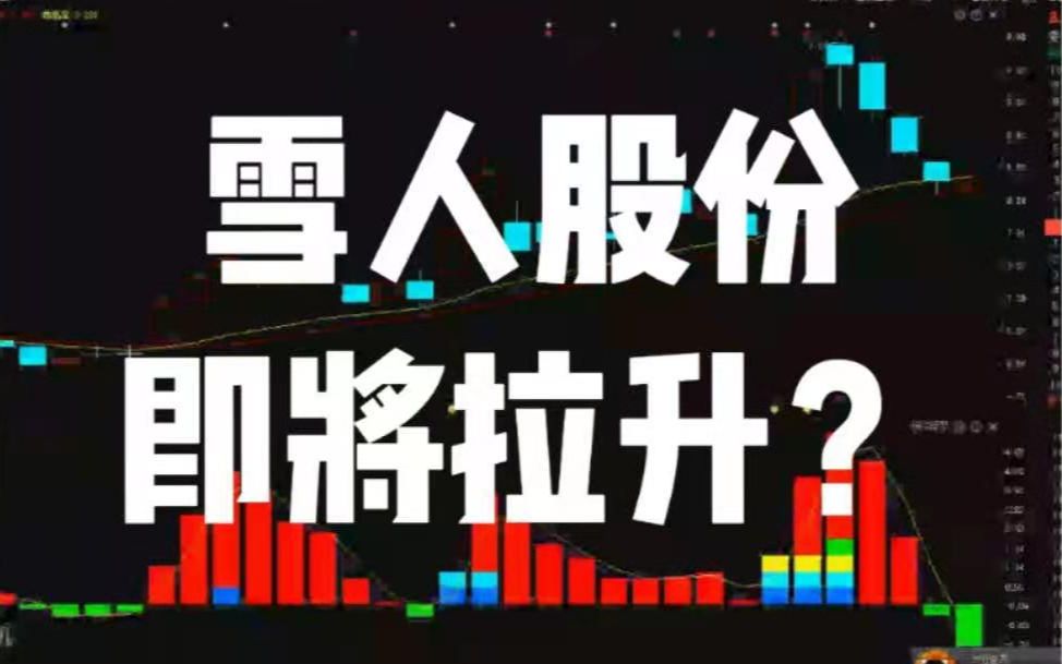 雪人股份,氢能源龙头,终于要反击了吗?哔哩哔哩bilibili