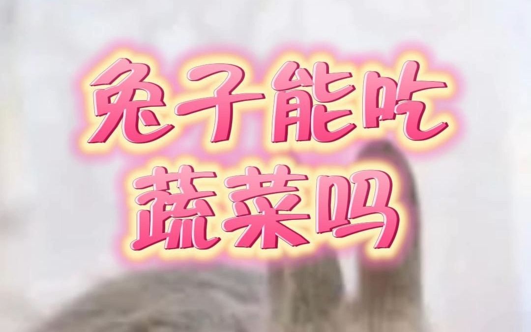 兔子能吃新鲜蔬菜吗?哔哩哔哩bilibili