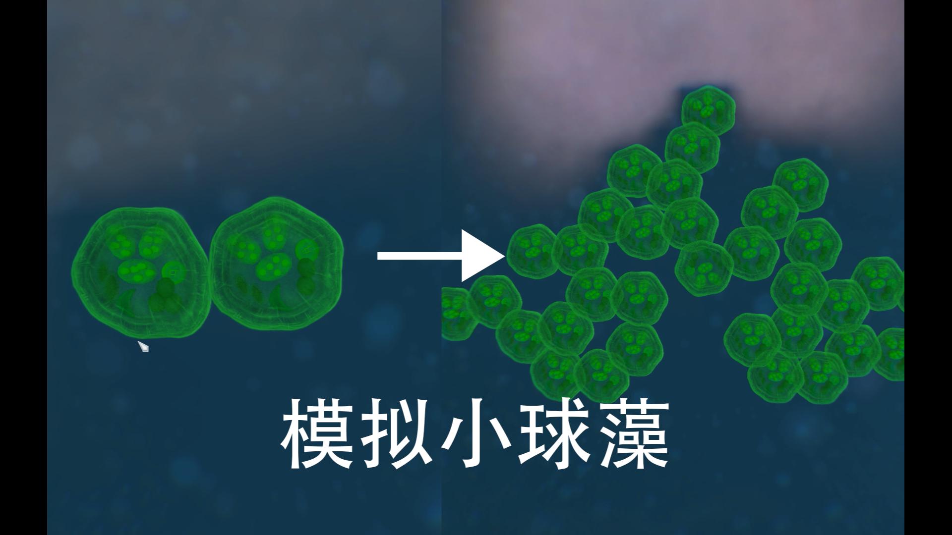 【Thrivedebug】小球藻,单体很弱,但增长速度快得可怕哔哩哔哩bilibili