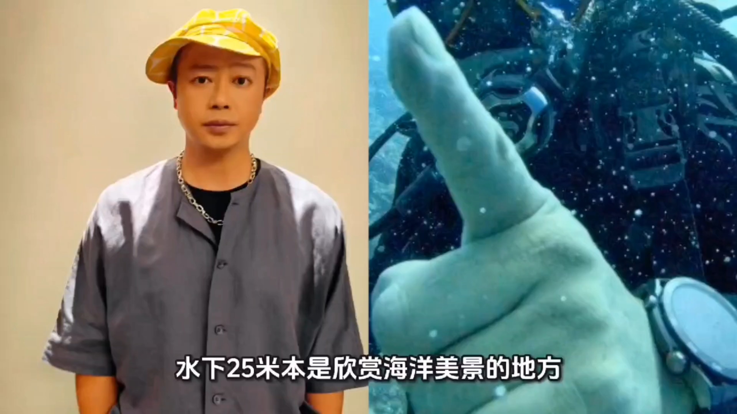 南拳妈妈成员帕劳潜水遭水下袭击，多方介入调查