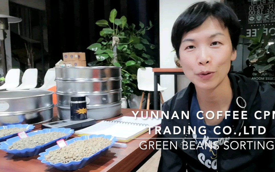 云南咖啡豆 生豆分选工厂 Yunnan Green coffee beans sorting哔哩哔哩bilibili