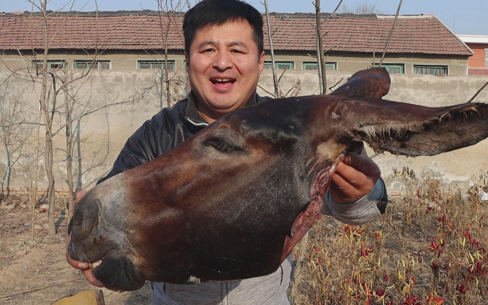 380元买个正宗黑毛驴头,做个"老汤压驴头",美味香醇,真过瘾