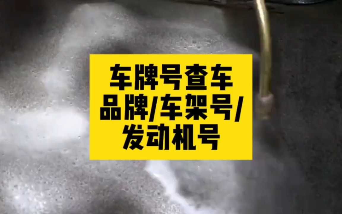 只有车牌号怎么查车辆信息?车牌查车的方法教程指南哔哩哔哩bilibili