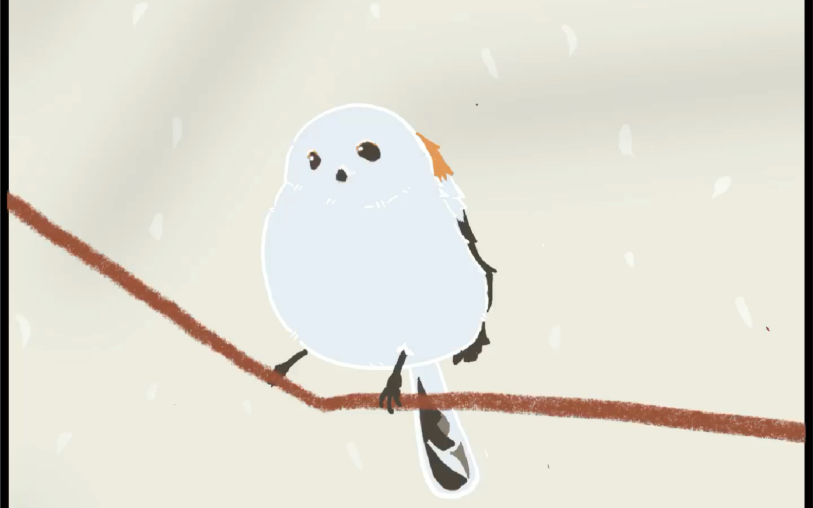 肥啾|银喉长尾山雀