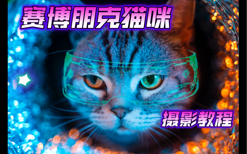 活动作品宠物摄影赛博朋克猫咪灯光布景