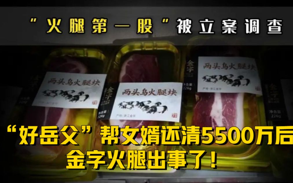 火腿第一股被立案调查!“好岳父”帮女婿还清5500万后,金字火腿出事了!哔哩哔哩bilibili