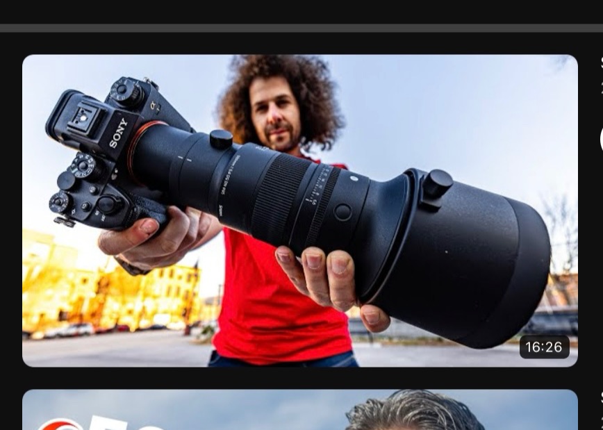 Sigma 500mm f5.6 评测  野生动物摄影的主要镜头|YouTubeJared Polin哔哩哔哩bilibili