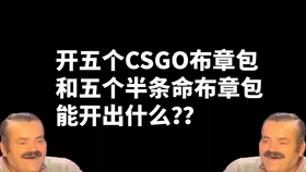 Csgo布章真的看得见吗 内含roll和4 27的开奖结果 提前祝大家五一小长假快乐 哔哩哔哩 つロ干杯 Bilibili