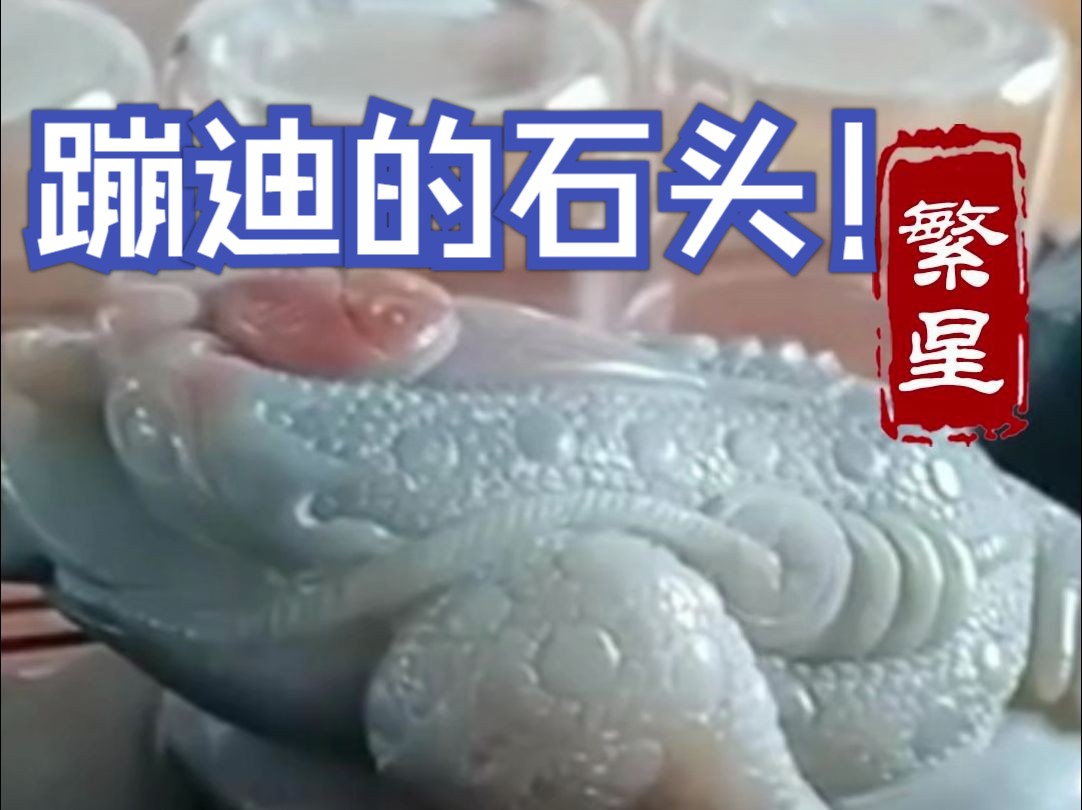 蹦迪的石头 繁星鉴宝(天天鉴宝)