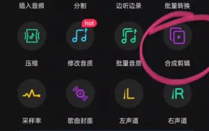 Download Video: 音频、朗诵、录音添加背景音乐后修剪