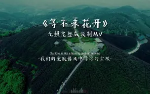 pro《等不来花开》完整版饭制MV，究竟什么魔力排在了榜首