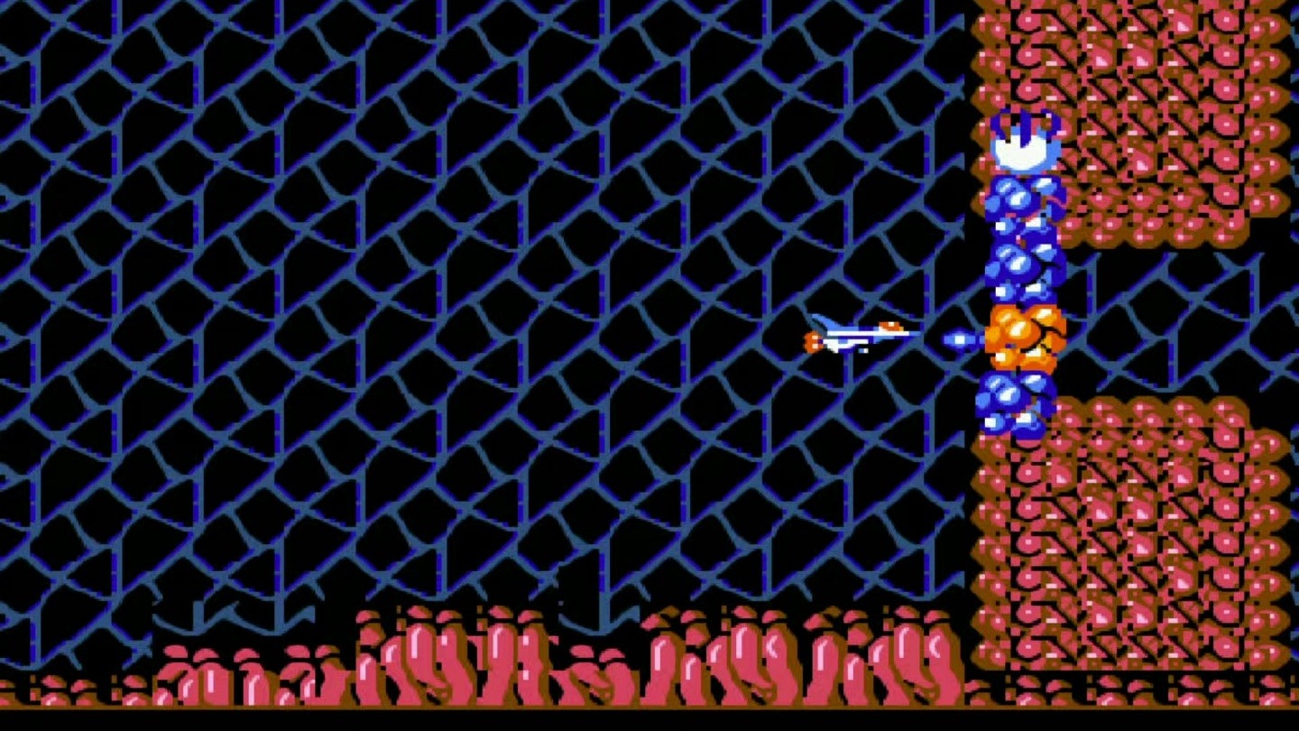 皮皮轩 沙罗曼蛇