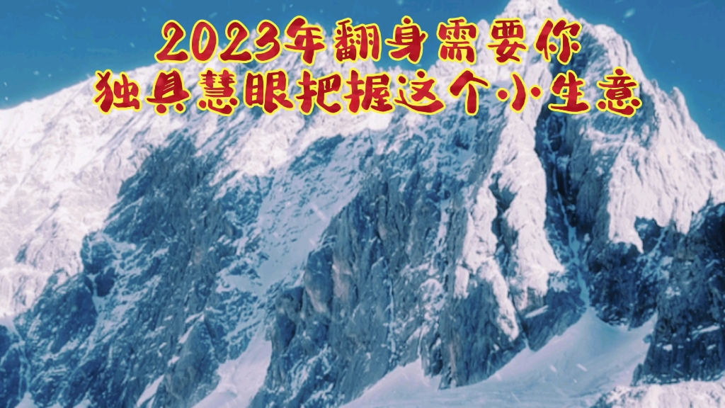 2023年翻身只需你独具慧眼把握这个小生意哔哩哔哩bilibili