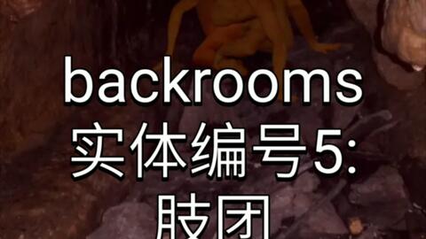 backrooms level 5 生存难度2 不安全稳定少量实体后房后室_哔哩哔哩_bilibili