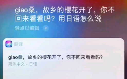 giao桑故乡的樱花开了