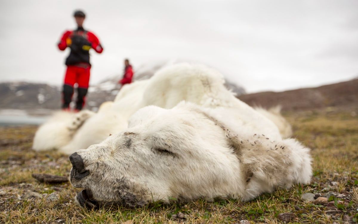 [图]【新人教课文视频】选必三 Unit 3 Climate Change Requires the World's Attention