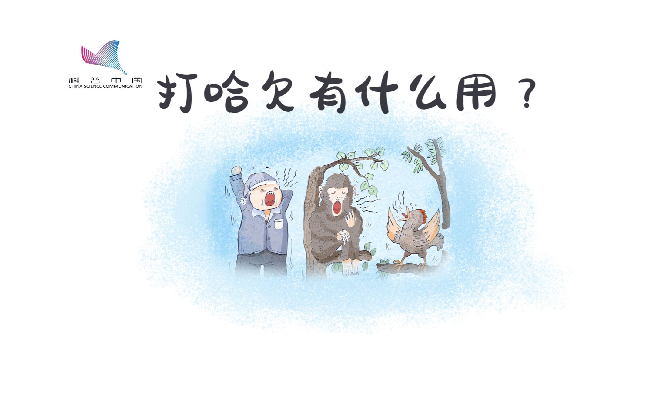 我们为什么会打哈欠?除了社交“传染”,还可能是给大脑降温哔哩哔哩bilibili