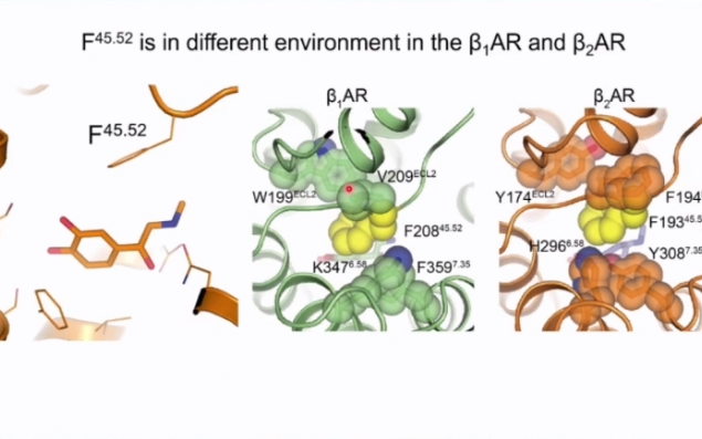 20210305清华大学药学院刘翔宇Structural biology and drug innovation for drenergic...哔哩哔哩bilibili