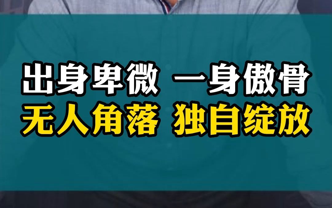 出身卑微 一身傲骨无人角落 独自绽放哔哩哔哩bilibili