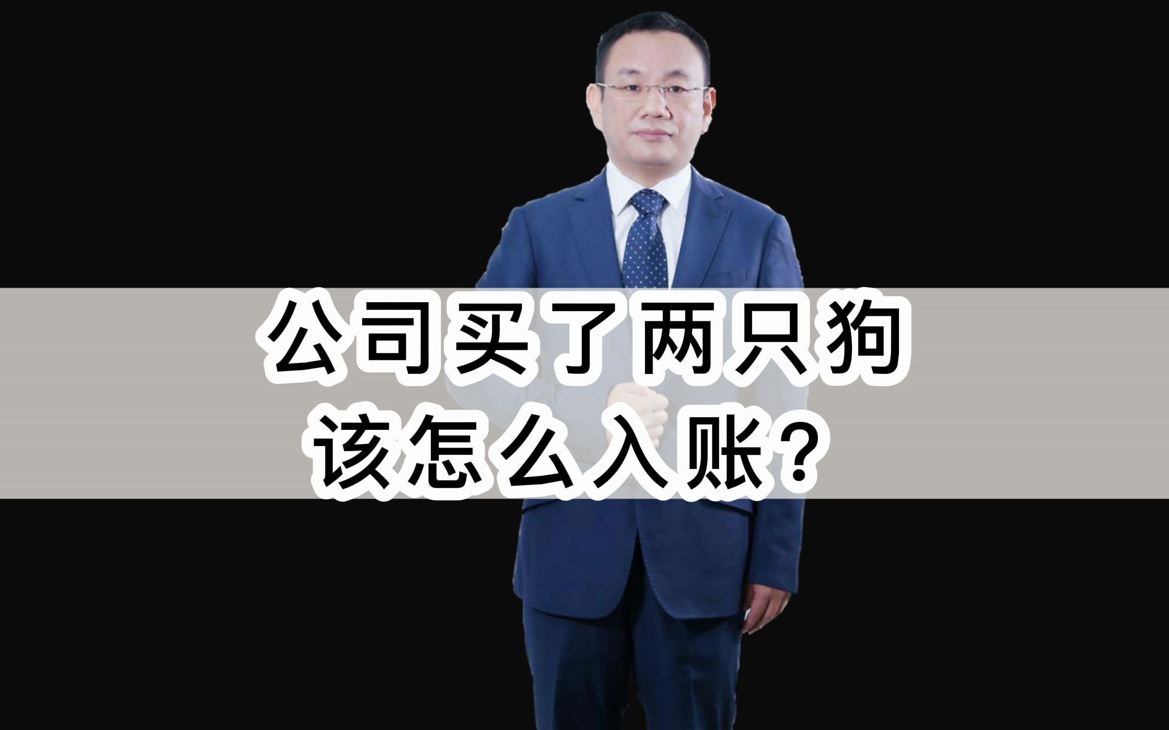 公司买了两只狗,该怎么入账?财税 财务 会计 管理会计哔哩哔哩bilibili