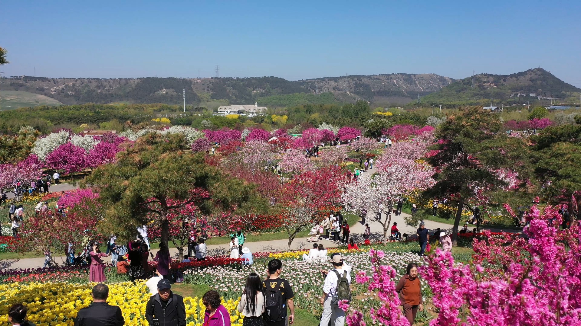 大连英歌石植物园票价图片