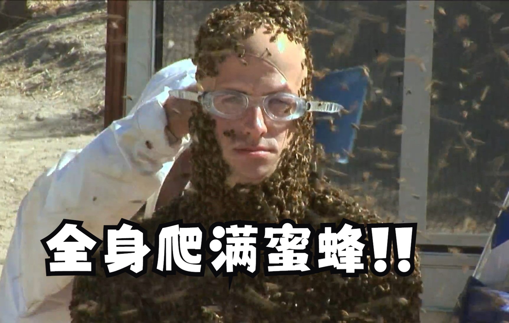 口吞蝎子,全身爬满蜜蜂你能在这种情况下逃脱吗?_哔哩哔哩_bilibili