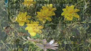 [图]【茶师】2022.12.11直播《相思》