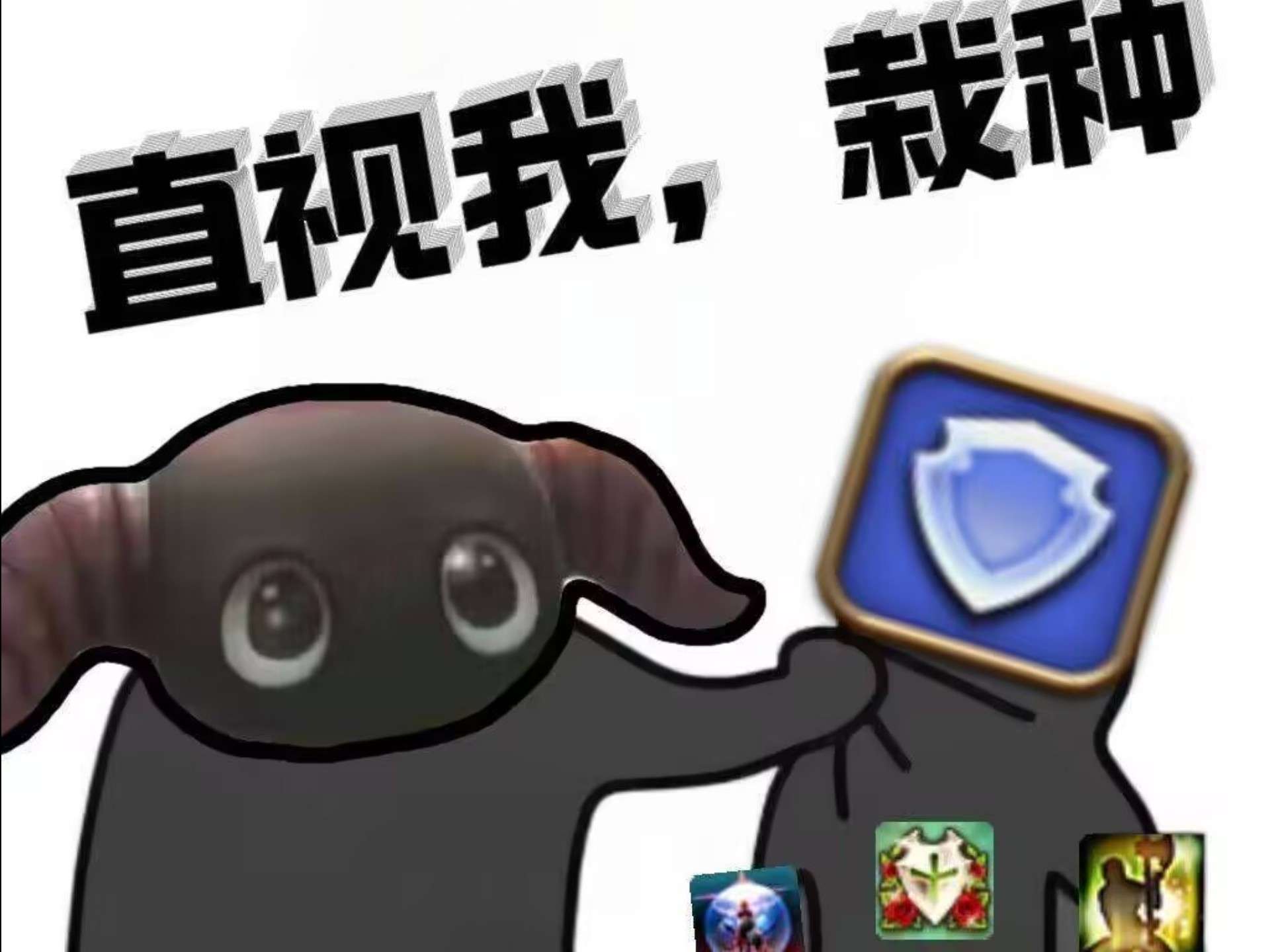 m6s骑士mt初通第一视角
