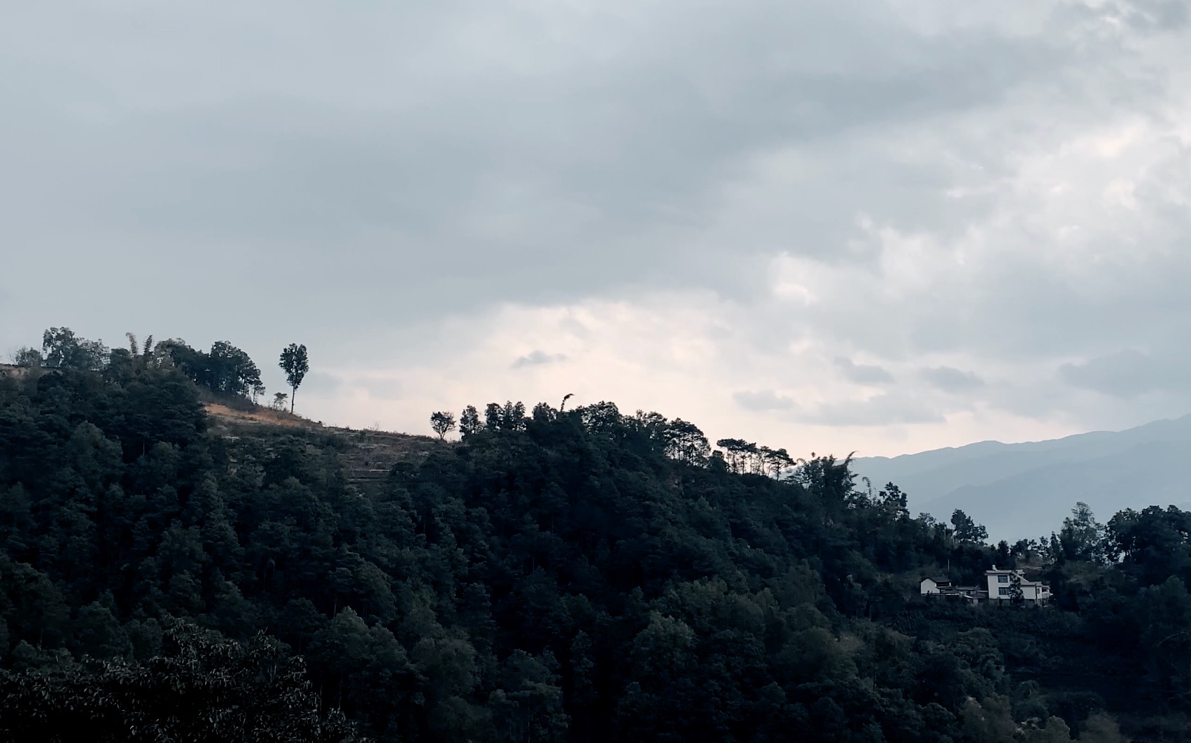 iphone xr | 在村庄里录像 | 阴天暗调 | 电影画幅