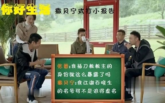 【你好生活】撒贝宁式打小报告.张蕾:我插刀教教主的身份就这么暴露了吗哔哩哔哩bilibili