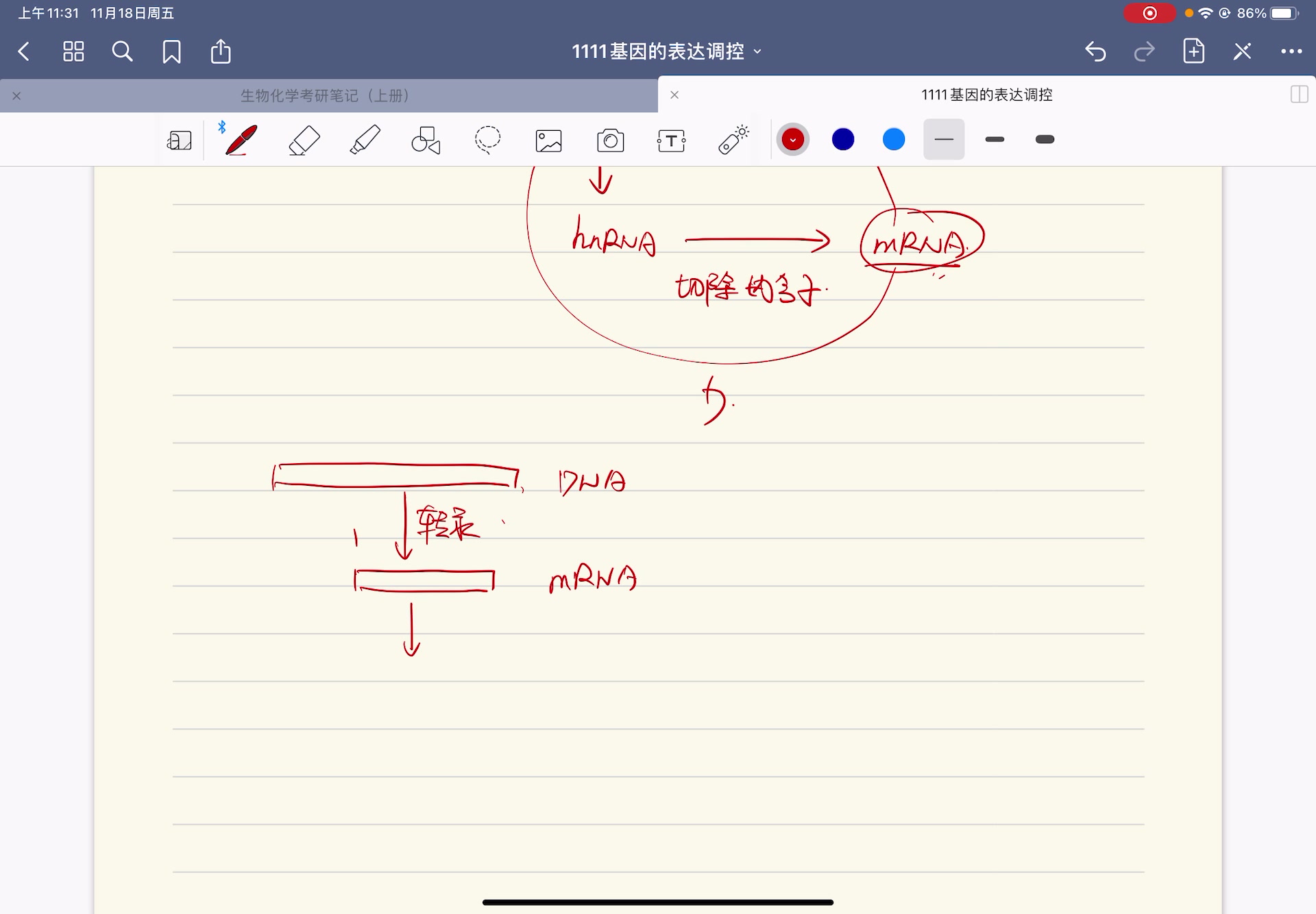 [图]生物化学-考研生物化学-基因工程