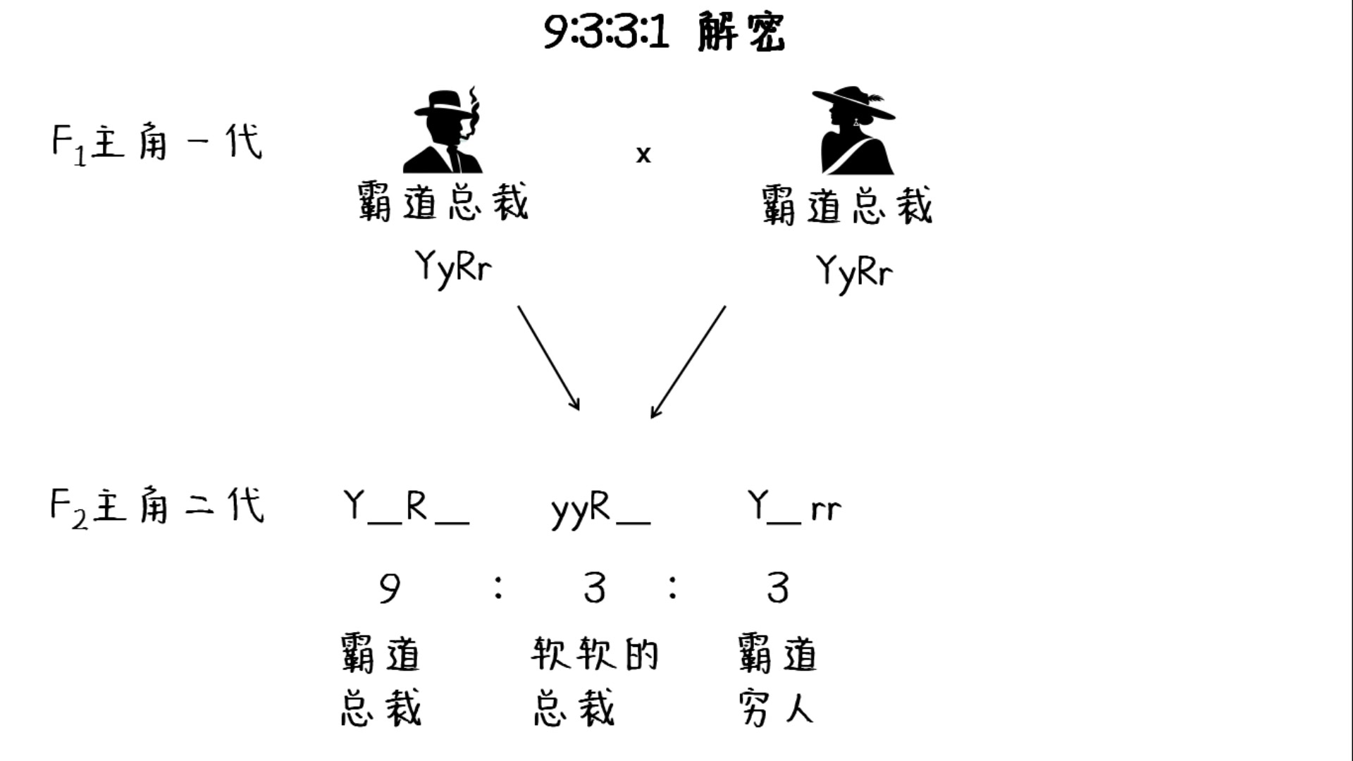 孟德尔9331基因型图解图片