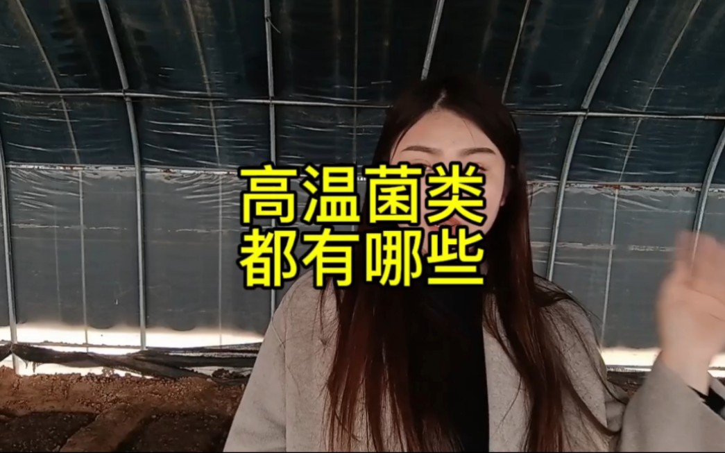 高温菌都有哪些?想要了解更多关于农业种植的朋友可以关注我