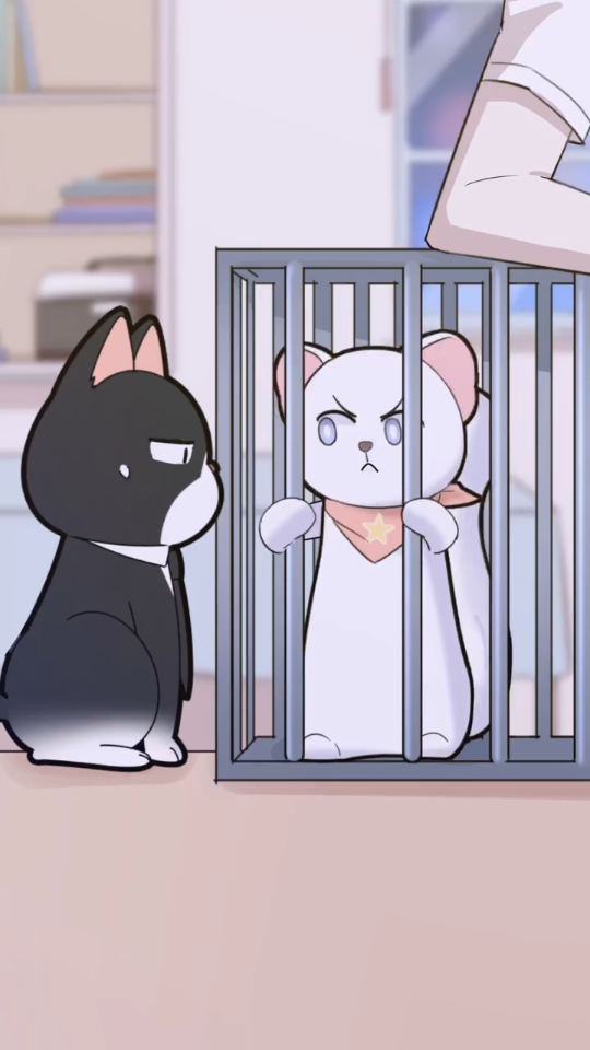 猫总白一航 3