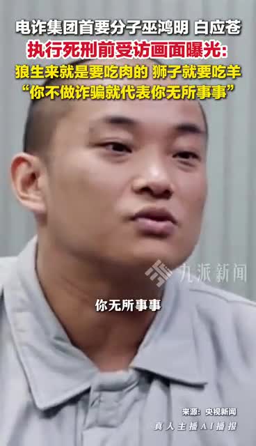 巫鸿明白应苍执行死刑前受访画面曝光