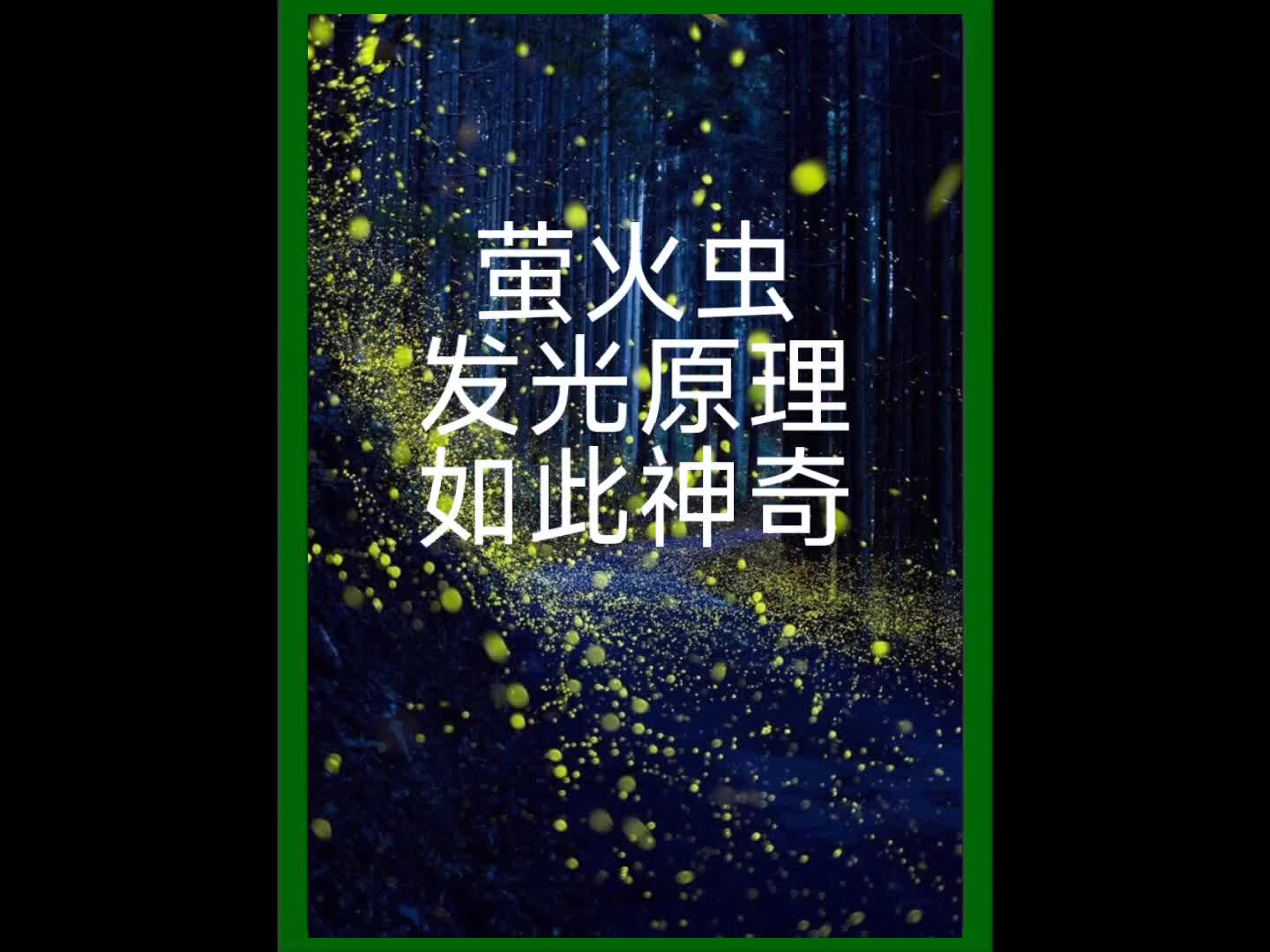 螢火蟲的發光原理是什麼?現在帶你瞭解知識科普