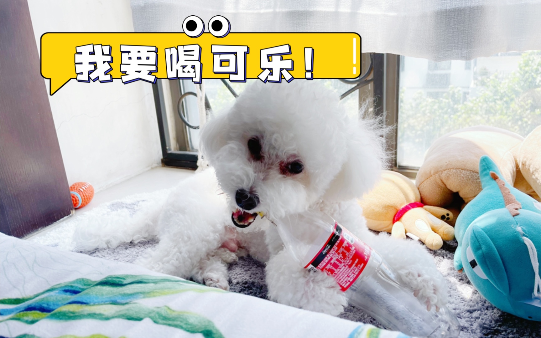 歪,妖妖灵吗?我想喝可乐