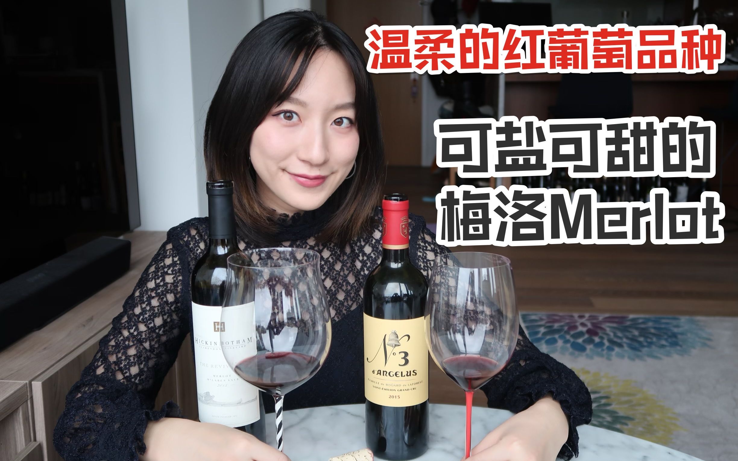 关于梅洛Merlot的一切 | 对比品鉴新世界vs.旧世界的梅洛葡萄酒 | 波尔多金钟vs.澳大利亚Mclaren Vale哔哩哔哩bilibili