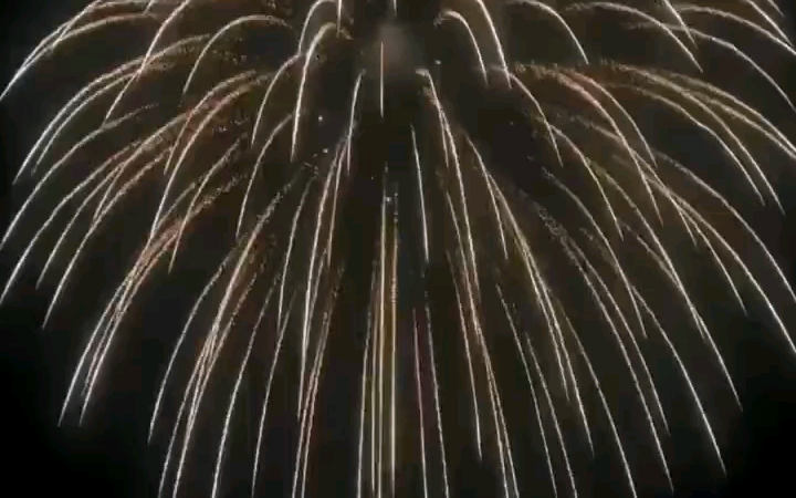 【烟花】8寸礼花弹