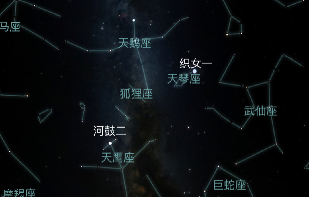 织女星属于哪个星座图片