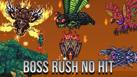 Terraria Calamity mod Boss rush no hit - BiliBili