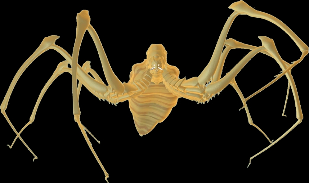 【假面骑士剧照集锦】土蜘蛛魔化魍