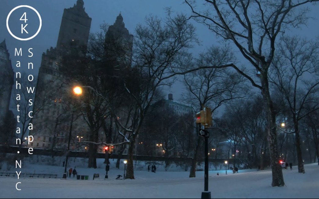 纽约走在雪雪景在中央公园,曼哈顿,纽约4K哔哩哔哩bilibili